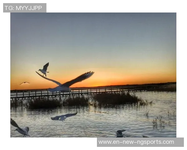 足球少年张国学的成长之路与梦想追逐的精彩故事